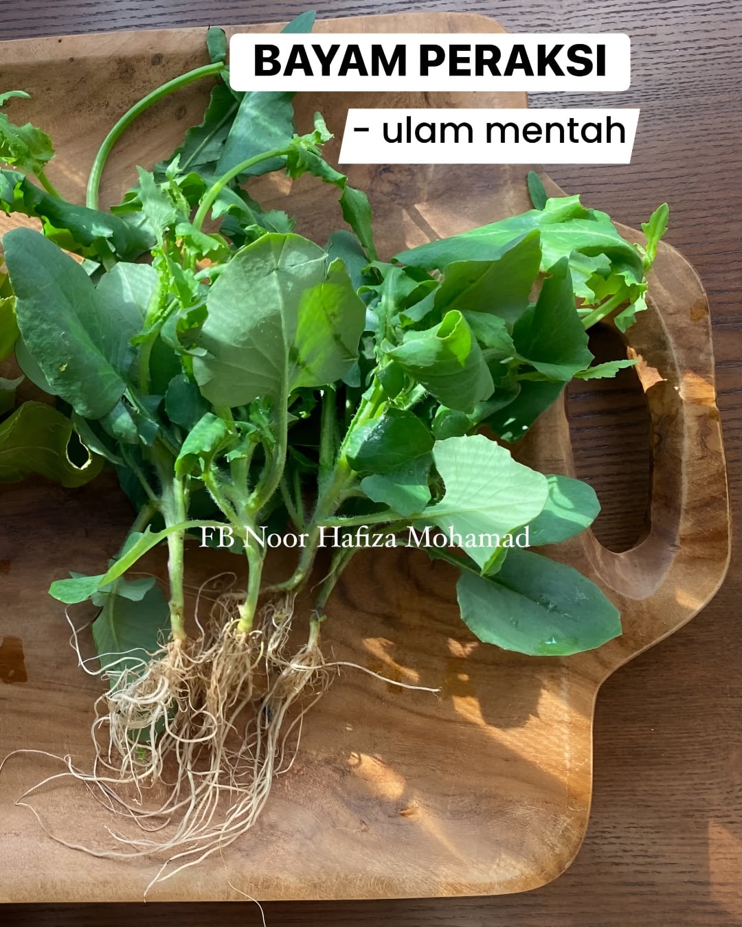 pokok liar