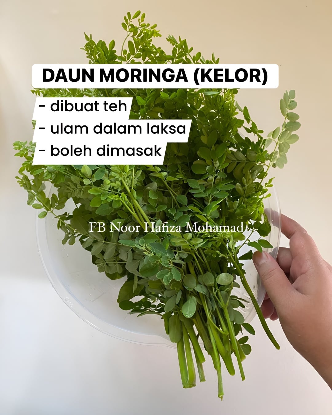 pokok liar