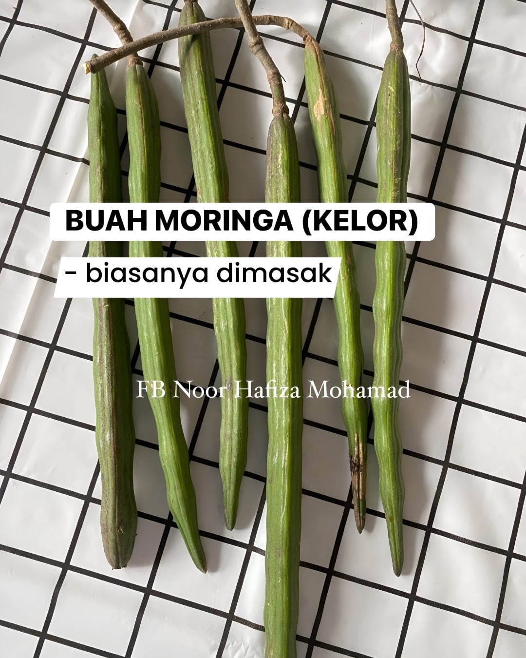 pokok liar
