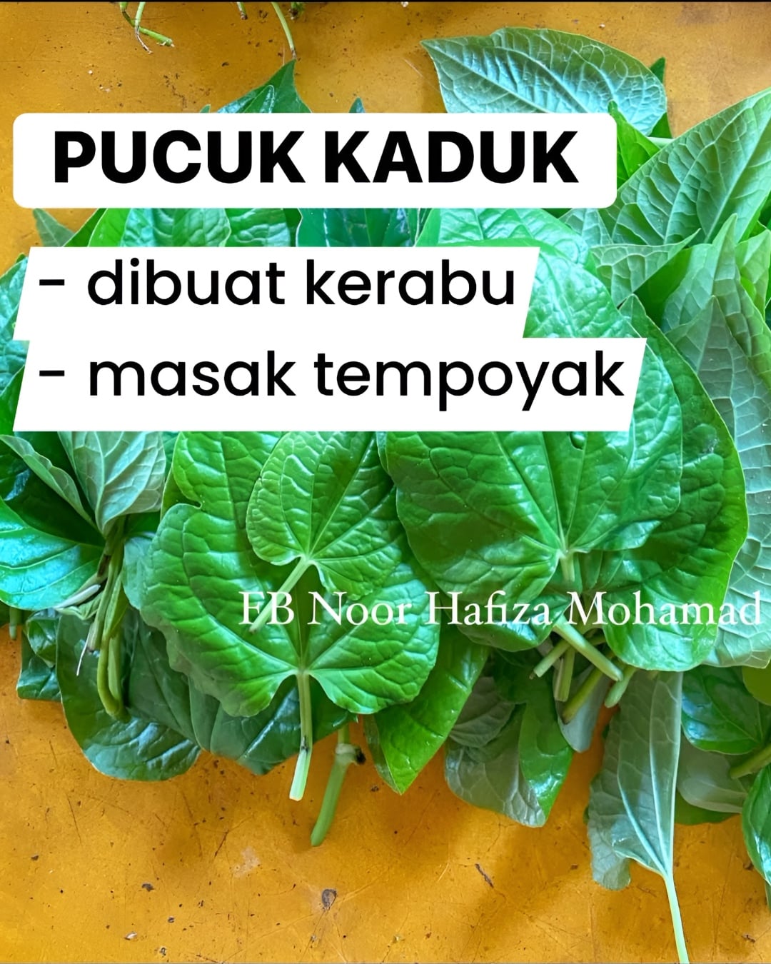 pokok liar
