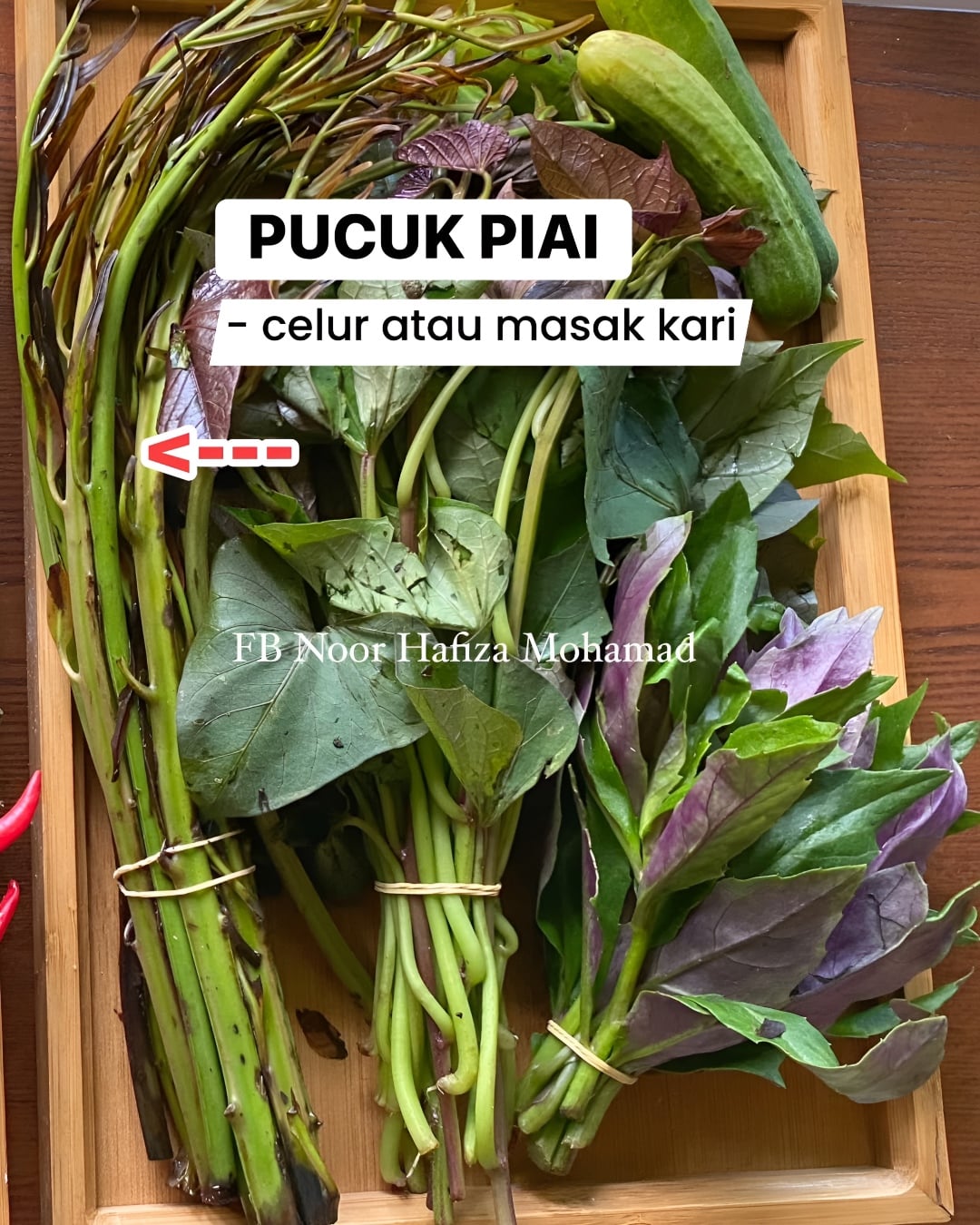 pokok liar