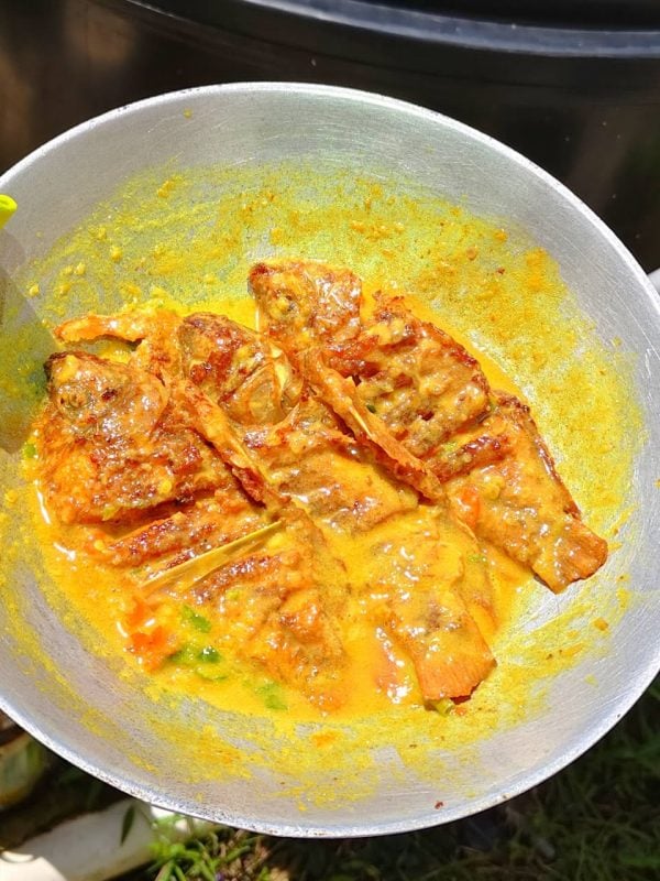 ikan talapia