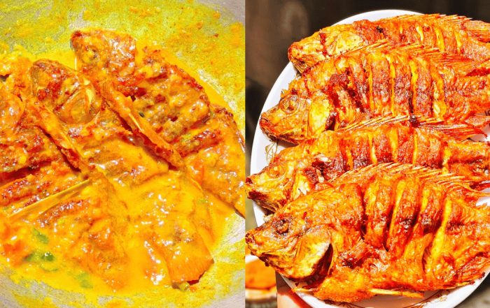 ikan talapia