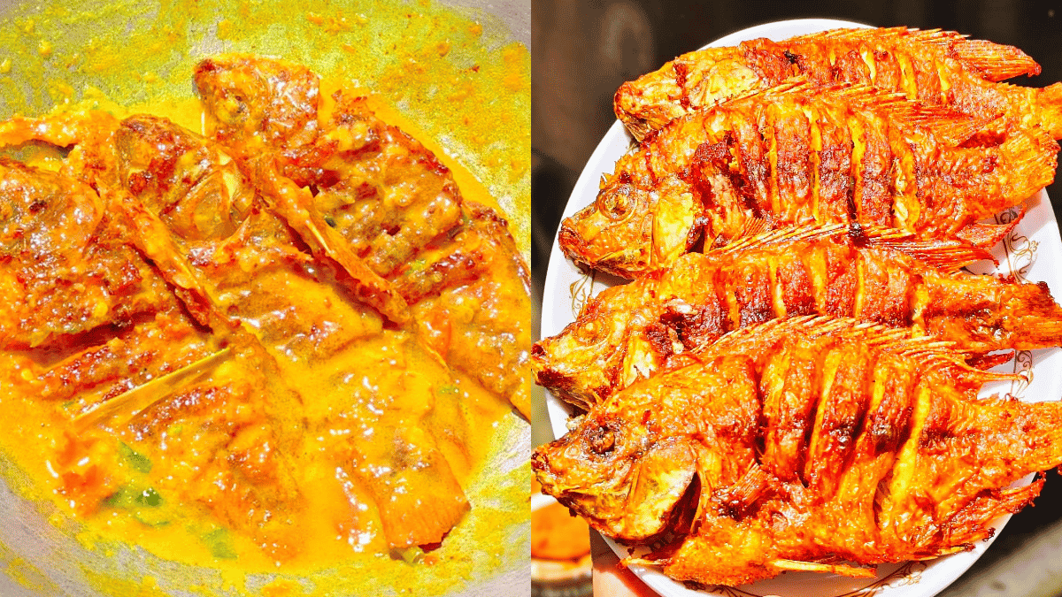 ikan talapia