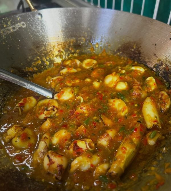 resipi sotong