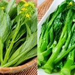 Sawi Pahit? Ramai Tak Tahu Rupanya Ada 2 Jenis Sawi Ini Yang Lebih Manis & Sedap Dimakan