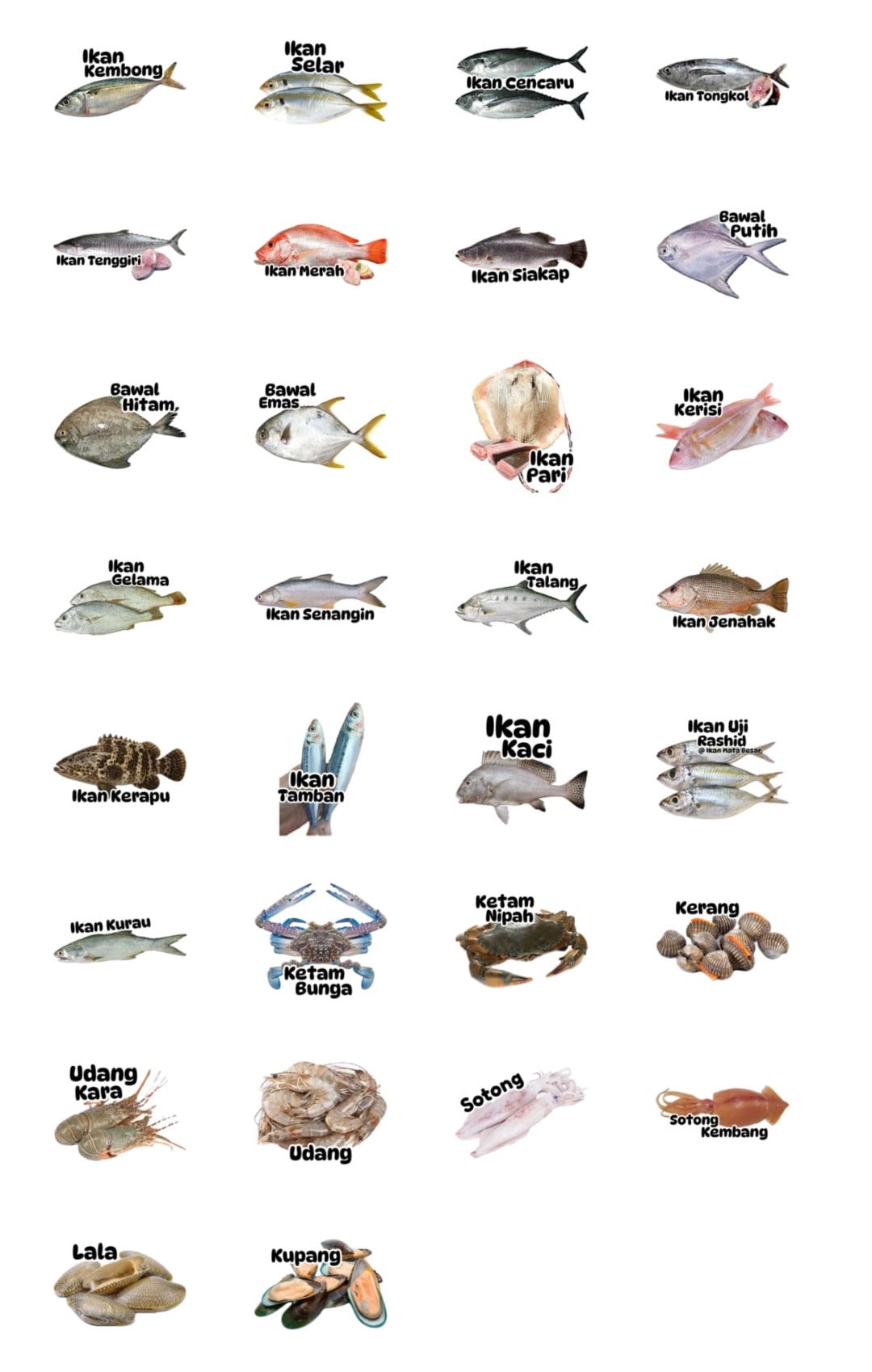 sticker whatsapp viral