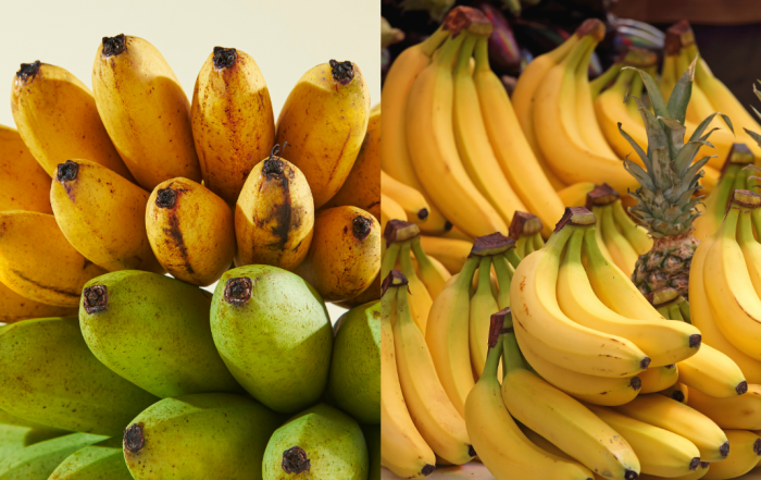 warna kulit pisang