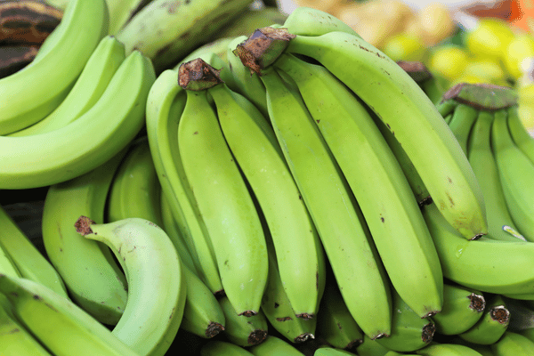 warna kulit pisang