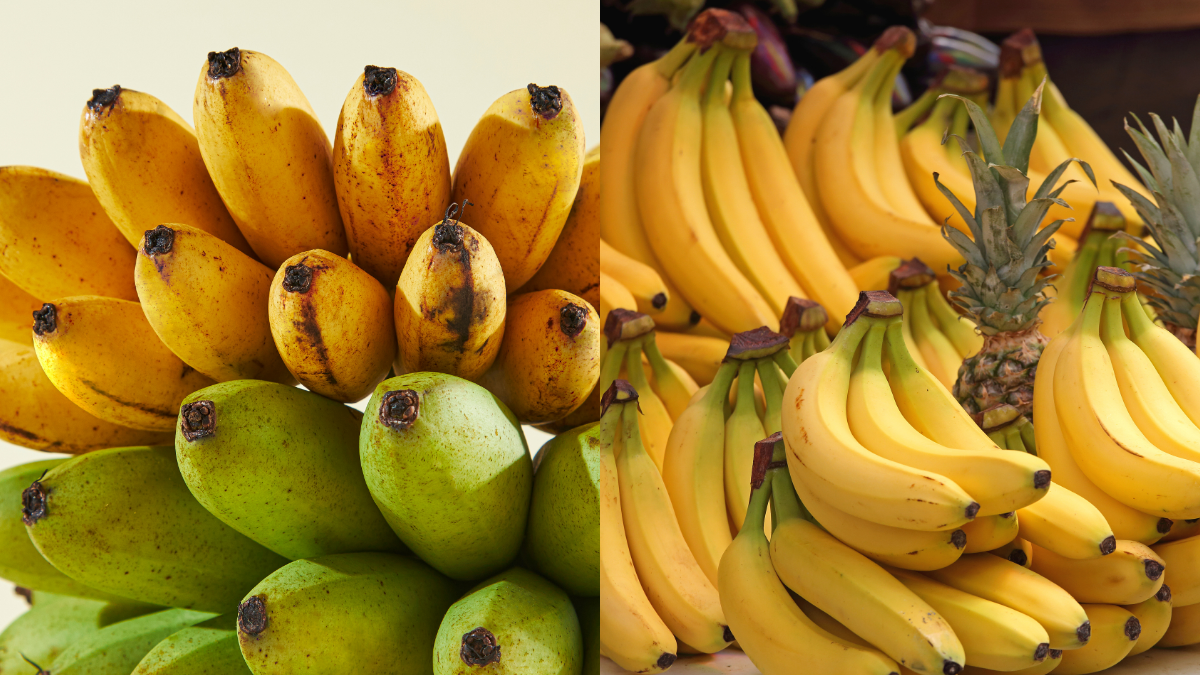 Warna Kulit Pisang Tentukan Cara Guna, Mana Satu Sedap Dimakan Terus & Mana Satu Sesuai Buat Kek
