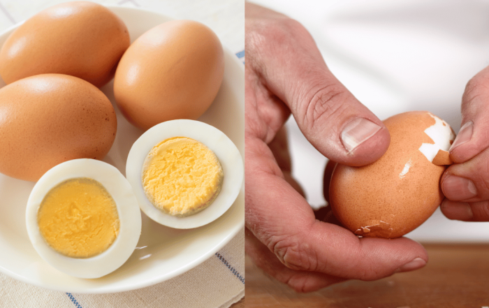 tips telur rebus