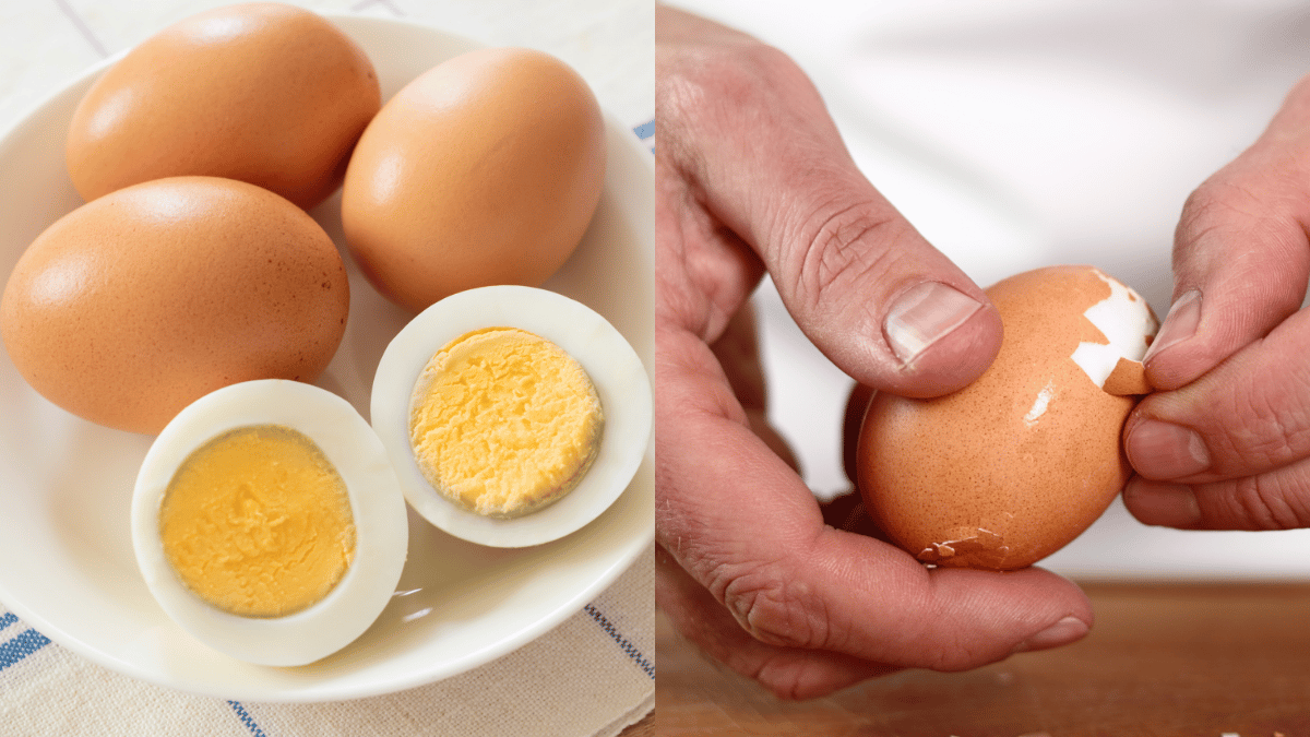 tips telur rebus