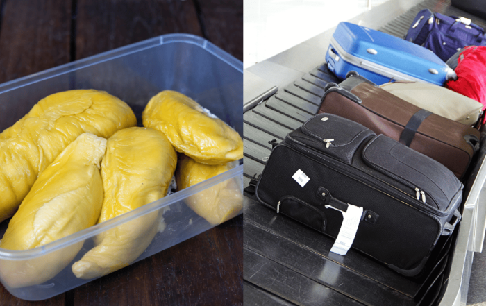 musang king