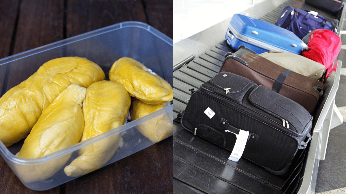 musang king
