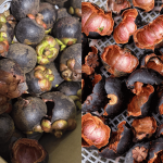 Wanita Kecewa Beli Buah Manggis ‘Online’, Bila Buka Kotak Hanya Tinggal Sisa Kulit Saja!