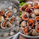 Cara Masak Kerang Supaya Isi Tak Melekat Pada Kulit, Rupanya Jangan Rebus Terlalu Lama