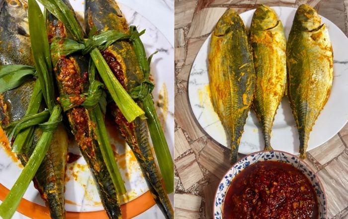 cencaru sumbat