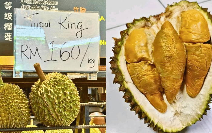 durian tupai king