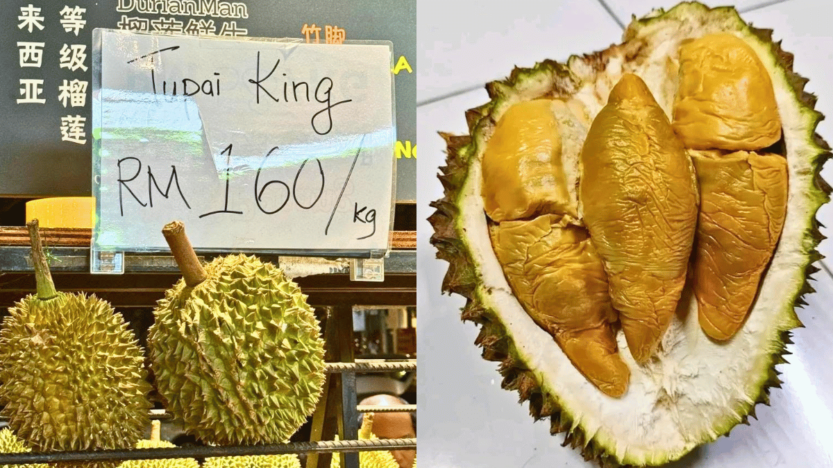Pernah Dengar Durian Tupai King? Digelar ‘Durian Bangsawan’ Baharu, Harga Boleh Cecah RM160 Sekilogram!