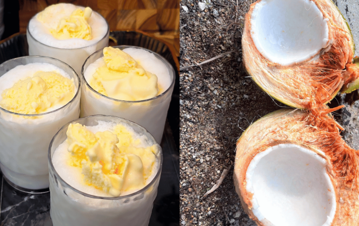resepi coconut shake