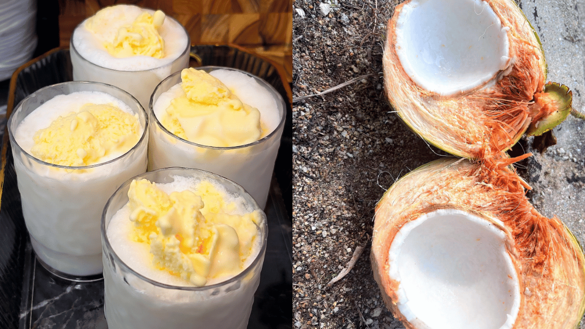 Resipi Air Coconut Shake Guna Isi Kelapa Tua, Memang Tak Kalah… Sedap Macam Di Gerai!