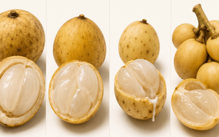 buah duku