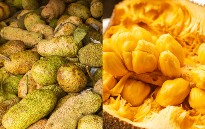 buah cempedak