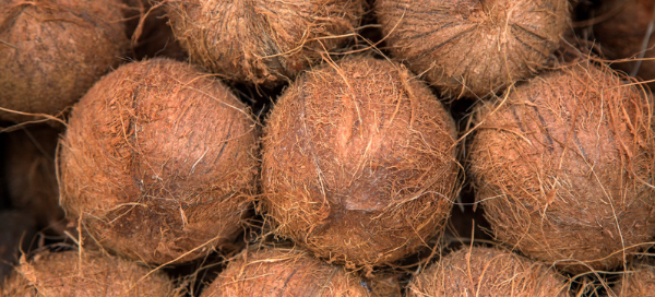 buah kelapa