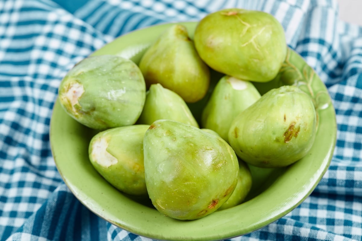 jerebu hari ini