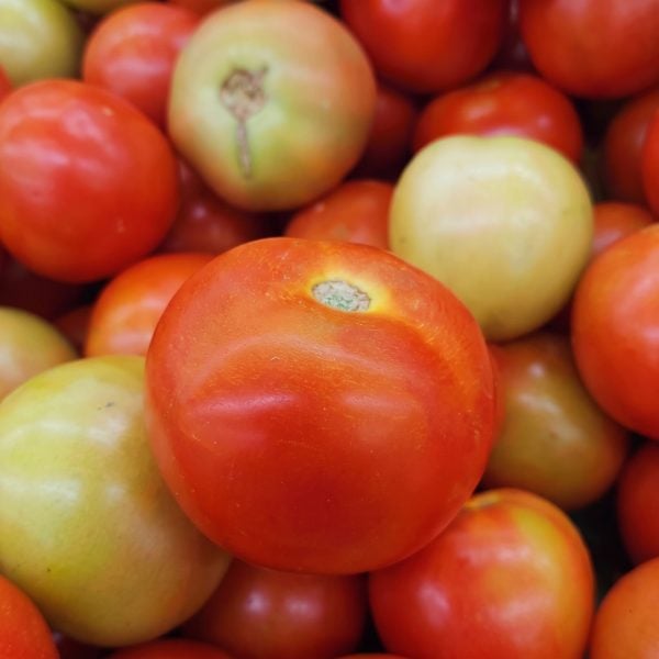 petua pilih tomato