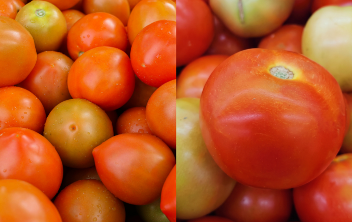 petua pilih tomato
