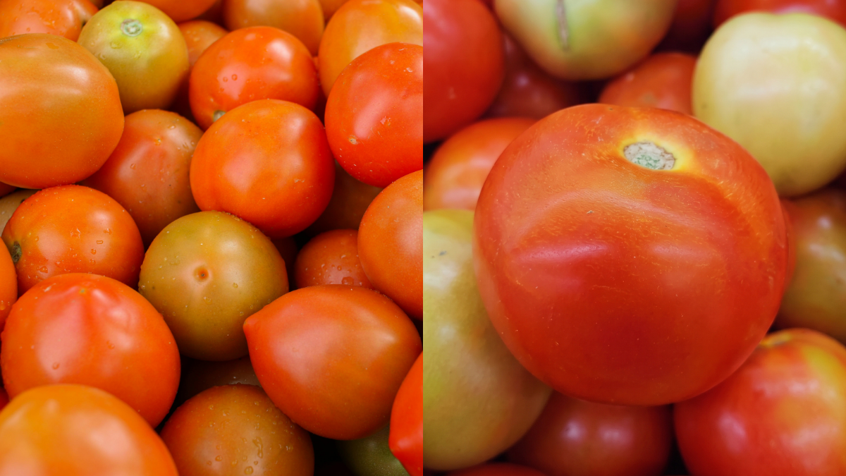 Petua Pilih Tomato, Yang Merah Oren Tanda Dah Masak & ‘Topi’ Hijau Tanda Isi Padat