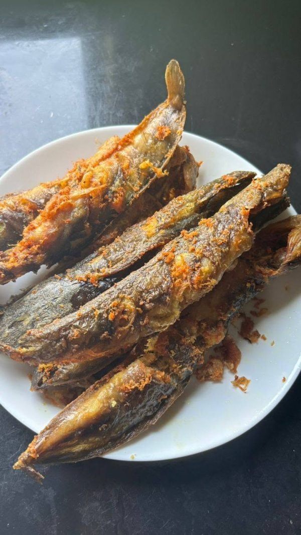 ikan keli goreng