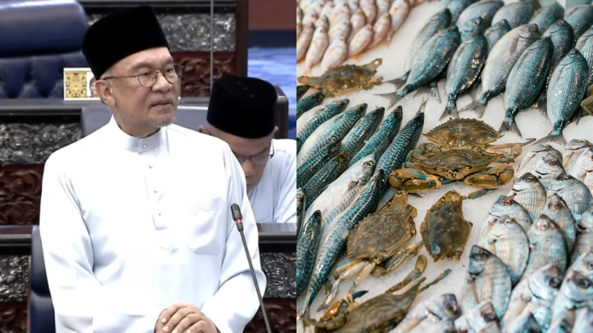 Belanjawan 2027, SARA Kini Boleh Digunakan Untuk Beli Barang Basah & Segar Di 216 Pasar Tani Terlibat