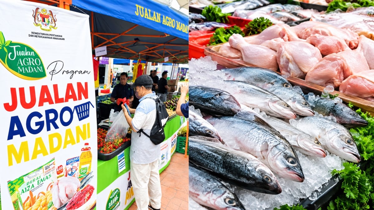 Belanjawan Malaysia 2027 Bawa Berita Baik, Harga Ikan, Ayam & Sayur Ditawar Sehingga 30% Lebih Murah