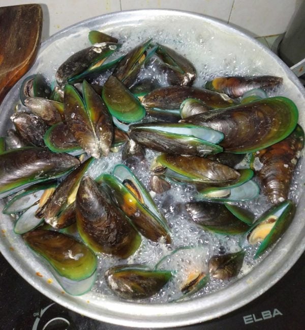 cara rebus kupang