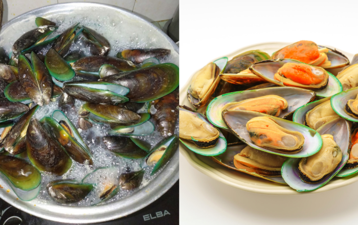 cara rebus kupang